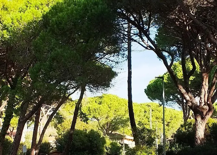 Casa Ricciola 아파트 *