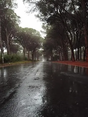 Casa Ricciola * 프린시피나 아 마레